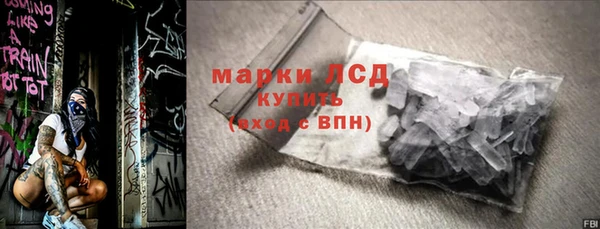 индика Нея